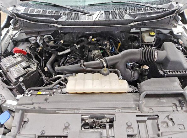 1FTEW2KPXRKF49782 2024 FORD F150 White უკანა სალონის ხედი