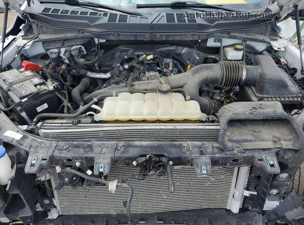 1FTEW2LP2RKD09950 2024 FORD F150 White Սալոնի հետևի տեսք