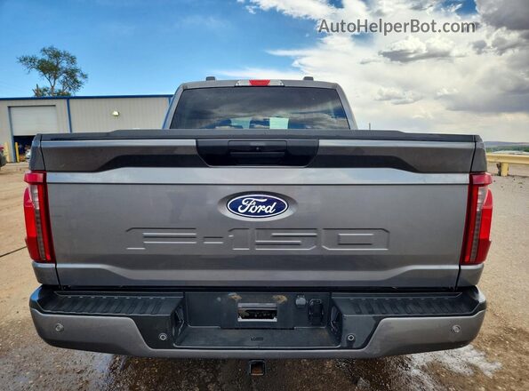 1FTEW2LPXSKD49229 2025 FORD F150 Gray Vista trasera