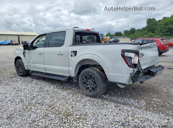 1FTEW3K54RKD68584 2024 FORD F150 Gray Rear left