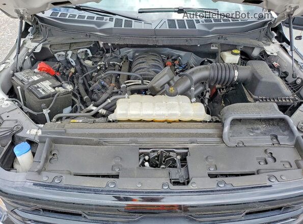 1FTEW3K54RKD68584 2024 FORD F150 Gray Rear interior view