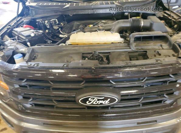 1FTEW3LP7SKD10474 2025 FORD F150 Серый Вид задней части салона