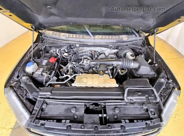 1FTEX1CB6KKD64869 2019 FORD F150 Black Սալոնի հետևի տեսք