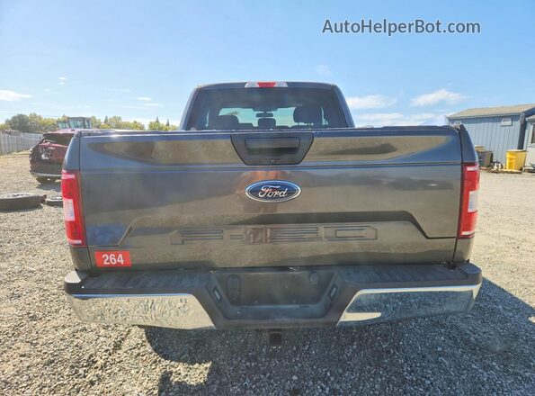 1FTEX1CBXKKF29323 2019 FORD F150 Gray Widok z tyłu