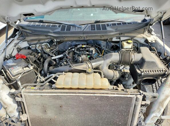 1FTEX1CP6NKD23304 2022 FORD F150 Белый Вид задней части салона