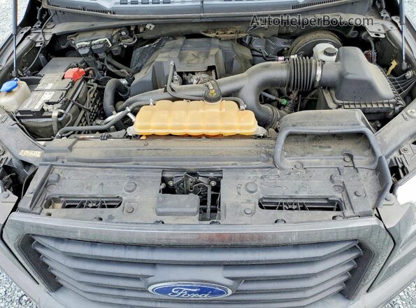 1FTEX1CP7HKE19396 2017 FORD F150 Gray Widok wnętrza z tyłu