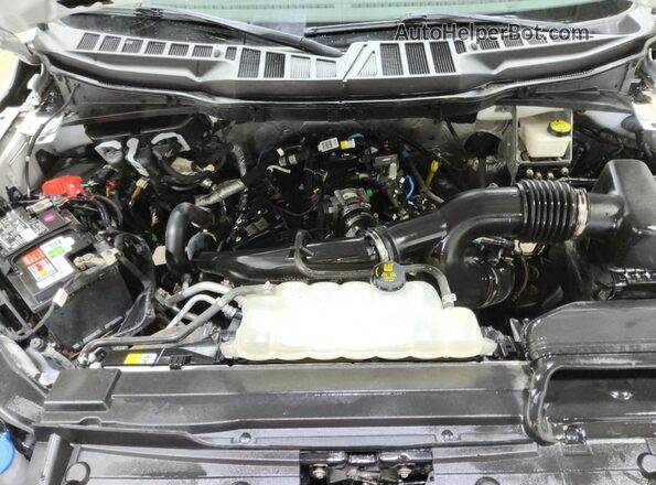 1FTEX1EP3MKF02928 2021 FORD F150 White 
