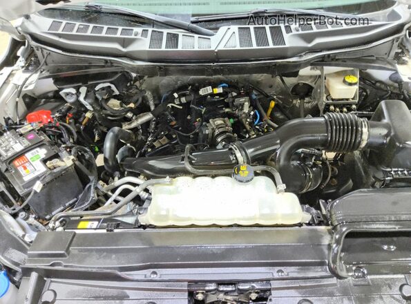 1FTEX1EP3MKF02928 2021 FORD F150 White Вид задньої частини салону