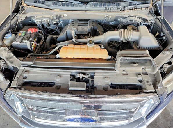 1FTEX1EP8GFA29010 2016 FORD F150 Blue უკანა სალონის ხედი