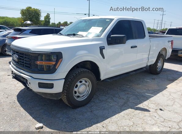 1FTEX1LP8RKD76138 2024 FORD F150 White Przód lewy