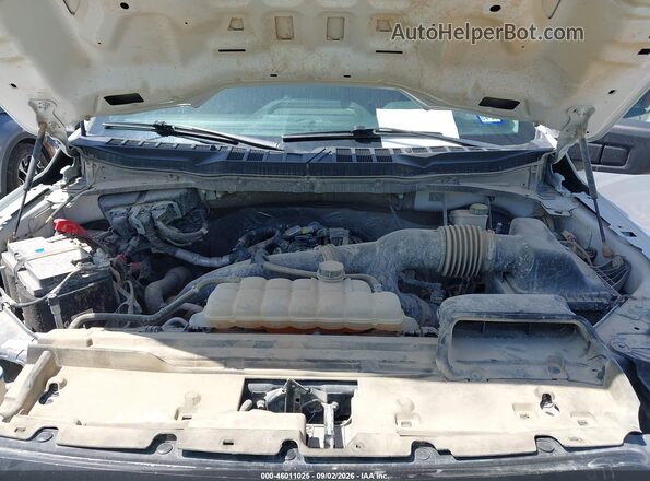 1FTEX1LP8RKD76138 2024 FORD F150 White Widok z tyłu