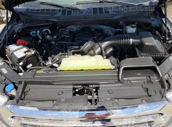 1FTFW1E50PFC85907 2023 FORD F150 Silver Вид задньої частини салону