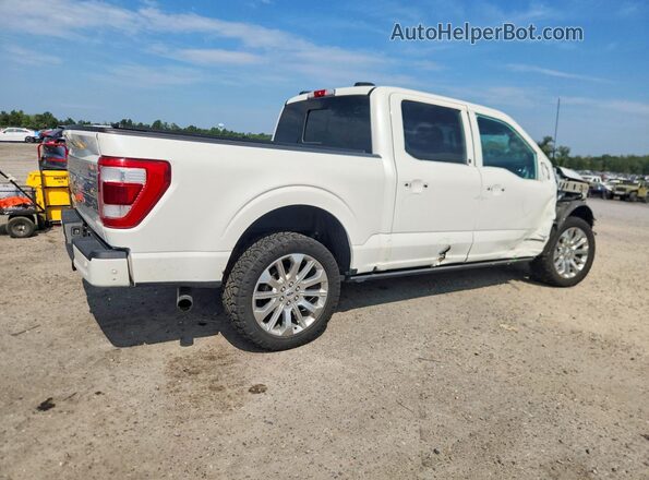 1FTFW1ED0MFB71568 2021 FORD F150 White უკანა მარჯვენა