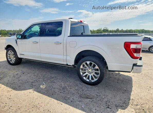1FTFW1ED0MFB71568 2021 FORD F150 White უკანა მარცხენა