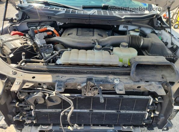 1FTFW1ED0MFB71568 2021 FORD F150 White უკანა სალონის ხედი