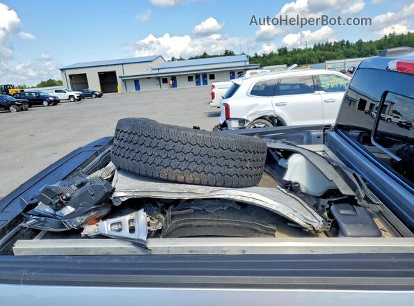 1FTFW1ED3PFB33725 2023 FORD F150 Silver Widok komory silnika