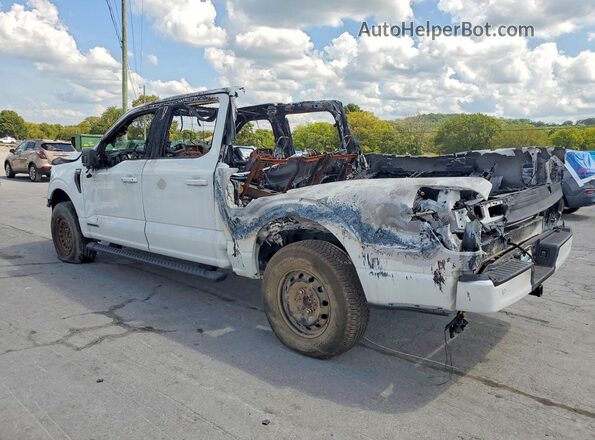 1FTFW1ED3PFC75718 2023 FORD F150 White Tył lewy