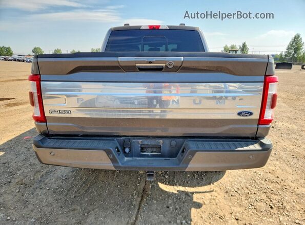 1FTFW1ED4NFB66536 2022 FORD F150 Серый Вид сзади