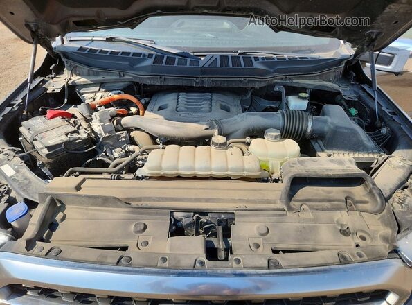 1FTFW1ED4NFB66536 2022 FORD F150 Серый Вид задней части салона
