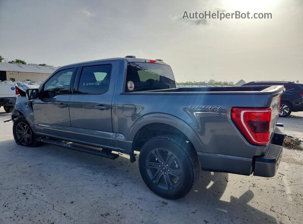 1FTFW1ED4PFD05616 2023 FORD F150 Gray უკანა მარცხენა
