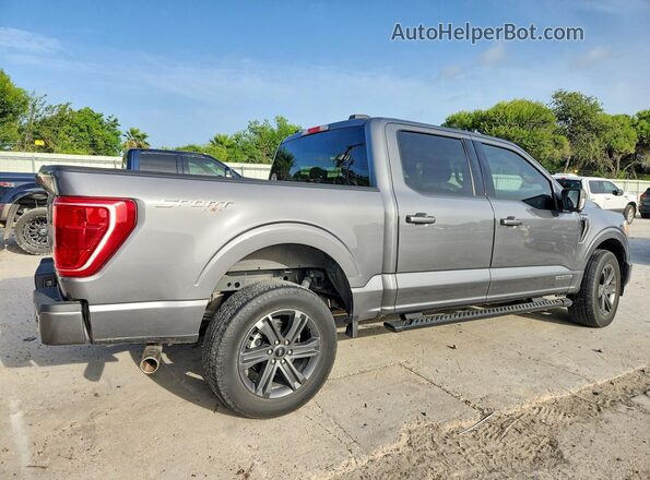 1FTFW1ED4PFD05616 2023 FORD F150 Gray უკანა მარჯვენა