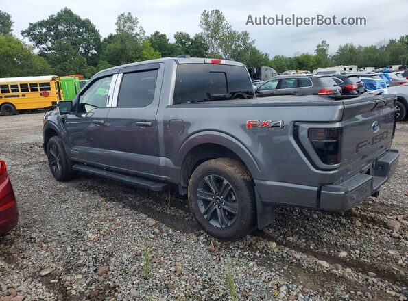 1FTFW1ED7PFD14925 2023 FORD F150 Gray Հետևի ձախ
