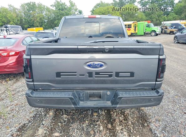 1FTFW1ED7PFD14925 2023 FORD F150 Gray Հետևի տեսք