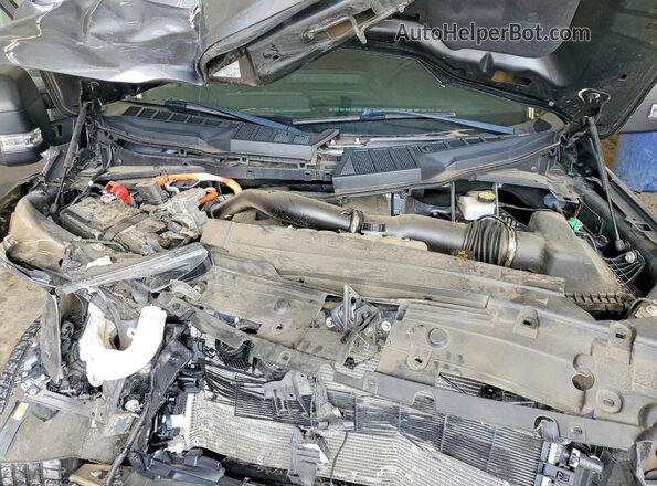 1FTFW1ED8PFB78238 2023 FORD F150 Gray უკანა სალონის ხედი