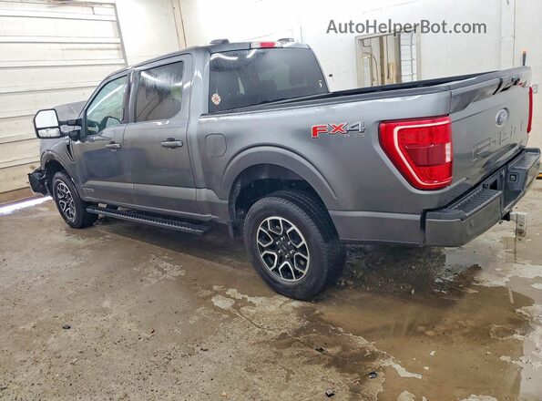 1FTFW1ED8PFB78238 2023 FORD F150 Gray უკანა მარცხენა