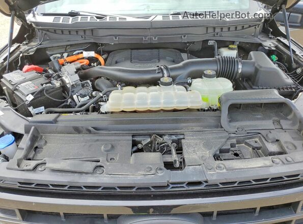 1FTFW1ED9NFB20474 2022 FORD F150 Black Вид задньої частини салону