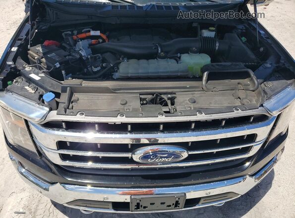 1FTFW1EDXMFD08712 2021 FORD F150 Black Rear interior view