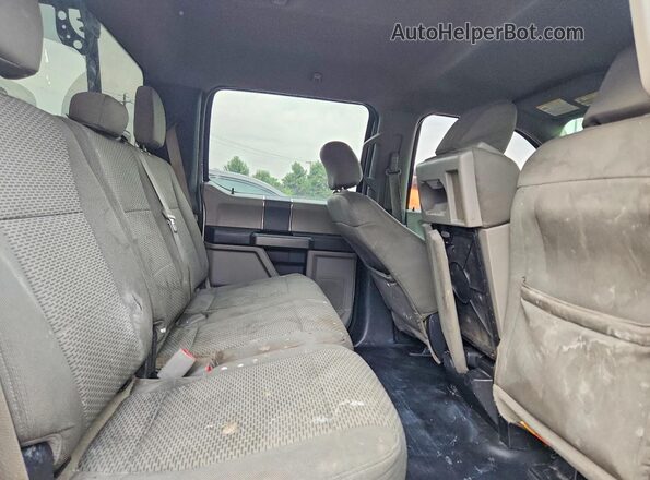 1FTFW1EF1GFA32832 2016 FORD F150 White Вид задніх сидінь