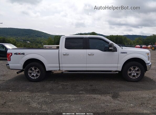 1FTFW1EF3GFB49070 2016 FORD F150 Белый Вид задней части салона