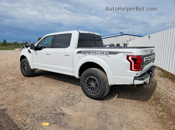 1FTFW1RGXKFA76159 2019 FORD F150 White Tył lewy