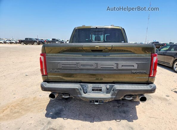 1FTFW1RGXRFA43270 2024 FORD F150 Green Widok z tyłu