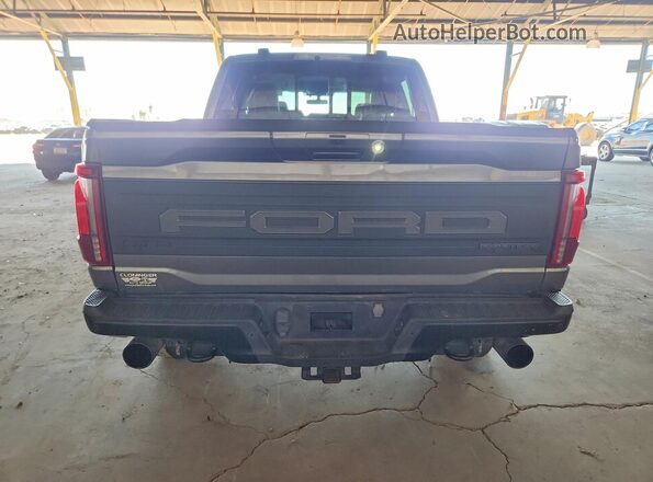 1FTFW1RGXRFA88404 2024 FORD F150 Gray Widok z tyłu