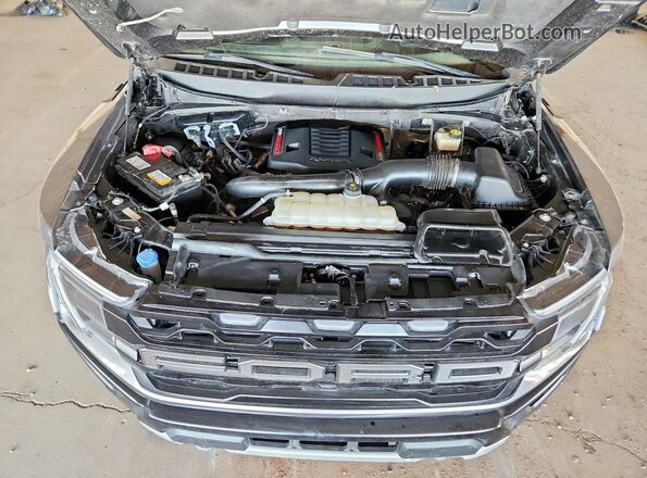 1FTFW1RGXRFA88404 2024 FORD F150 Gray Widok wnętrza z tyłu