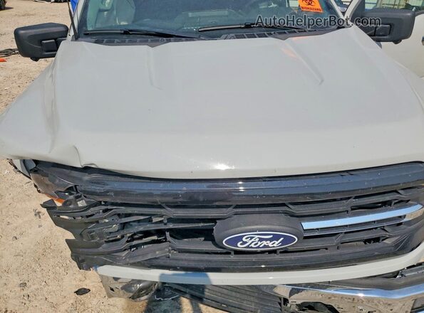 1FTFW3L53RKF33687 2024 FORD F150 Белый Вид задней части салона