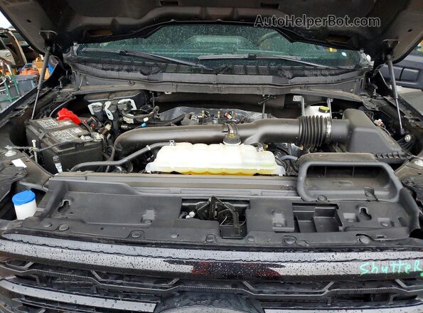 1FTFW3L84SFB65741 2025 FORD F150 Gray Սալոնի հետևի տեսք