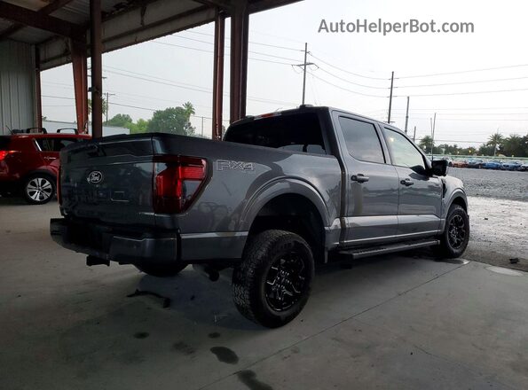 1FTFW3L84SFB65741 2025 FORD F150 Gray Հետևի աջ
