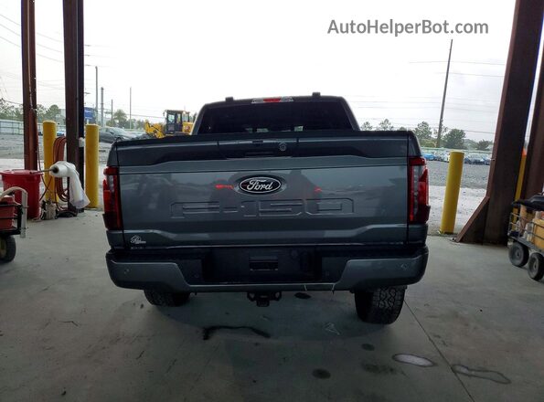 1FTFW3L84SFB65741 2025 FORD F150 Gray Հետևի տեսք