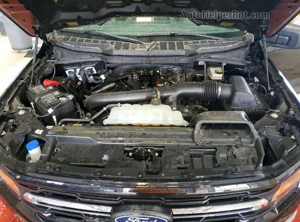 1FTFW3L85SKE89319 2025 FORD F150 Черный Вид задней части салона