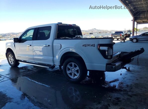 1FTFW3LD4SFC51581 2025 FORD F150 White Задня ліва чверть