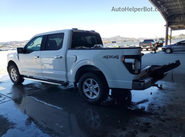 1FTFW3LD4SFC51581 2025 FORD F150 White 