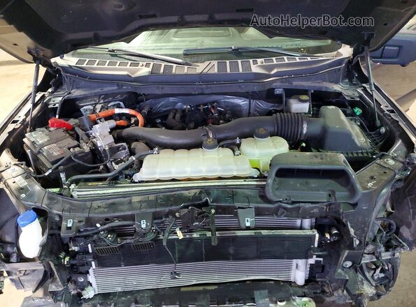 1FTFW3LD8RFA62491 2024 FORD F150 Gray Սալոնի հետևի տեսք