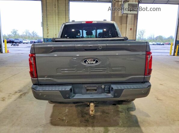 1FTFW3LD8RFA62491 2024 FORD F150 Gray Հետևի տեսք