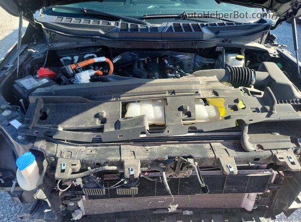 1FTFW3LD9SFB00512 2025 FORD F150 Черный Вид задней части салона