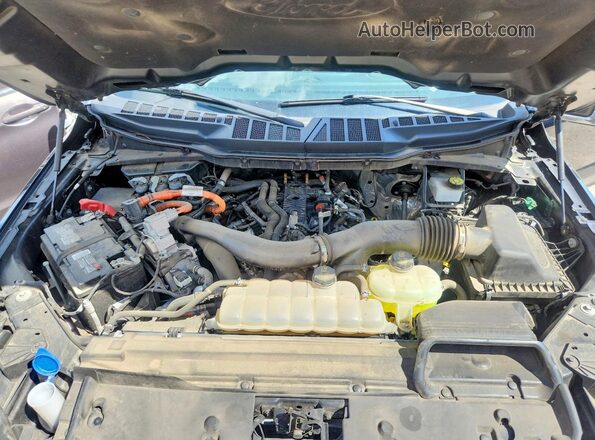 1FTFW3LDXRFA48429 2024 FORD F150 Black უკანა სალონის ხედი