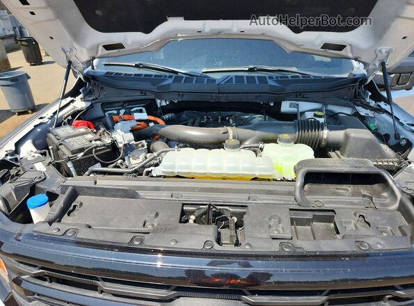 1FTFW3LDXSFB20087 2025 FORD F150 Silver Rear interior view