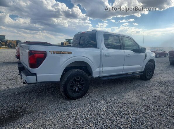 1FTFW4L84SFC32392 2025 FORD F150 Серый Задняя правая четверть